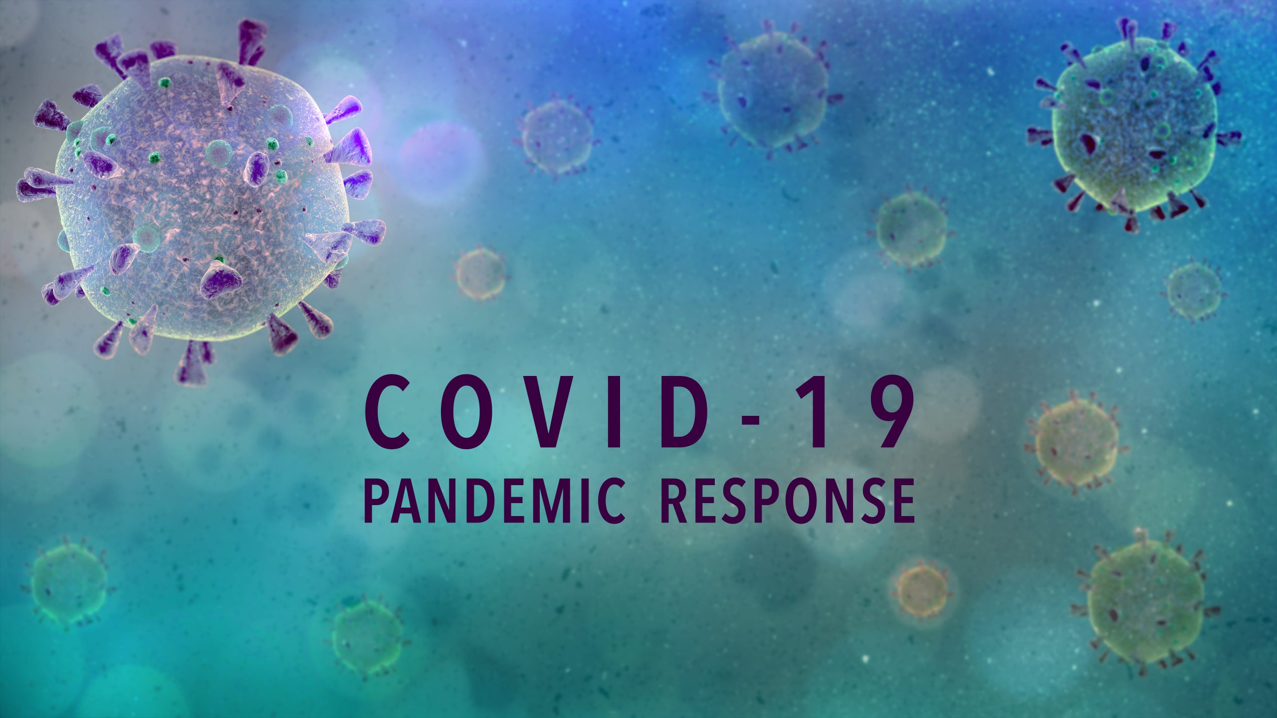 Read more about the article Panoply of Pandemic Policies