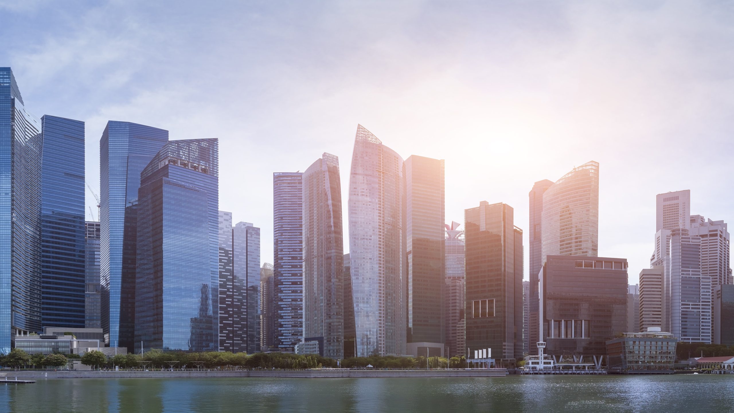 Read more about the article Digitalization and Singapore’s Role as an FDI Hub