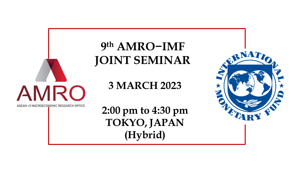 Read more about the article 9th AMRO−IMF Joint Seminar