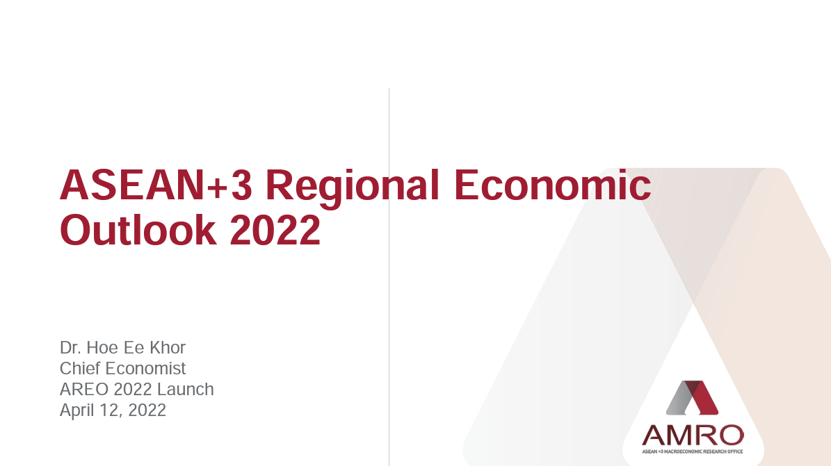 Read more about the article Presentation: ASEAN+3 Regional Economic Outlook 2022