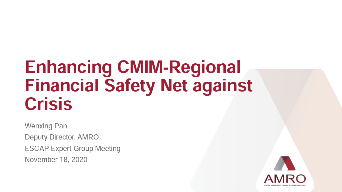 Read more about the article Presentation: Enhancing CMIM-Regional Financial Safety Net against Crisis