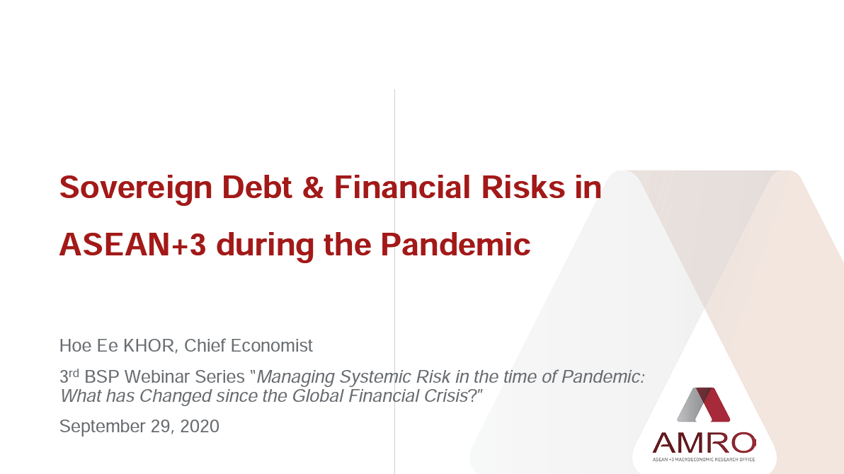 Read more about the article Presentation: Sovereign Debt & Financial Risks in ASEAN+3 during the Pandemic
