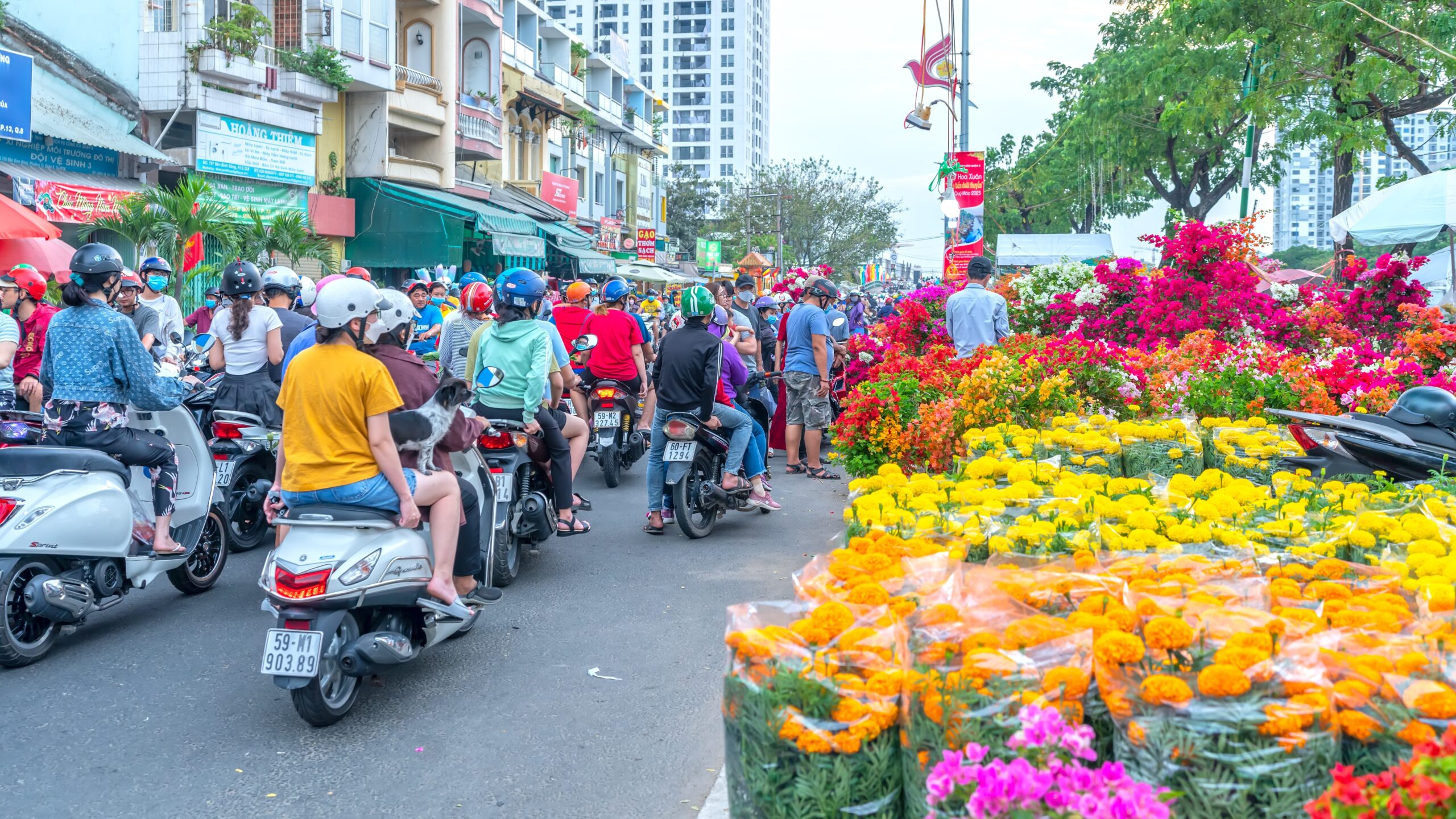 Read more about the article Vietnam: Recalibration of Policy Mix to Support Growth amid Weak Global Demand