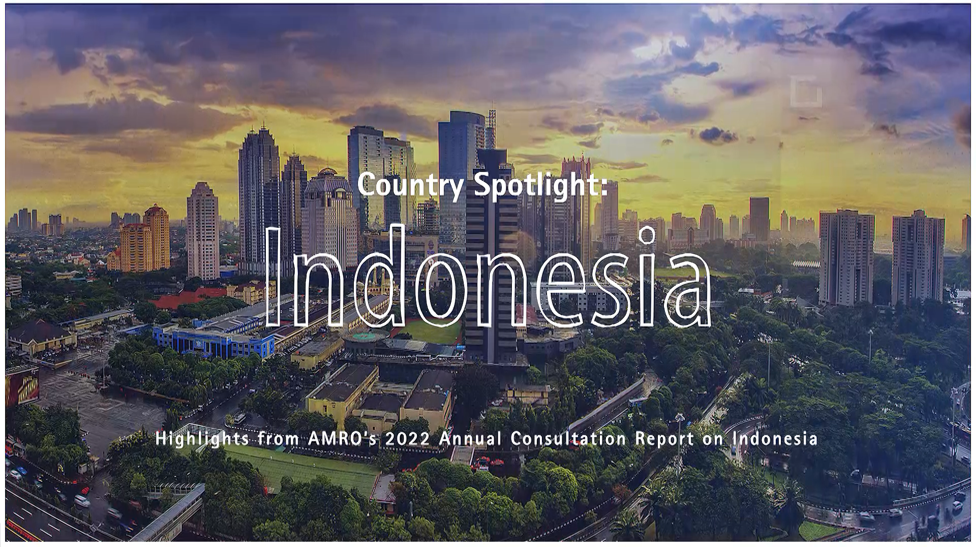 Read more about the article Watch: Spotlight on Indonesia