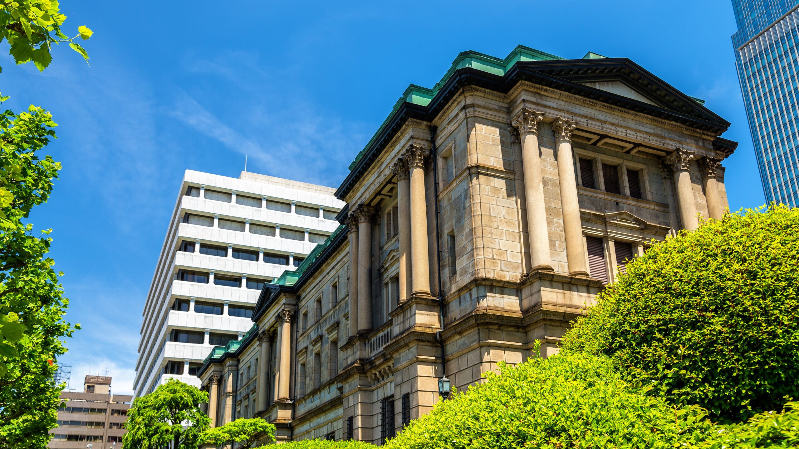 Read more about the article Embracing Change: The Case for Secular Tightening at the Bank of Japan