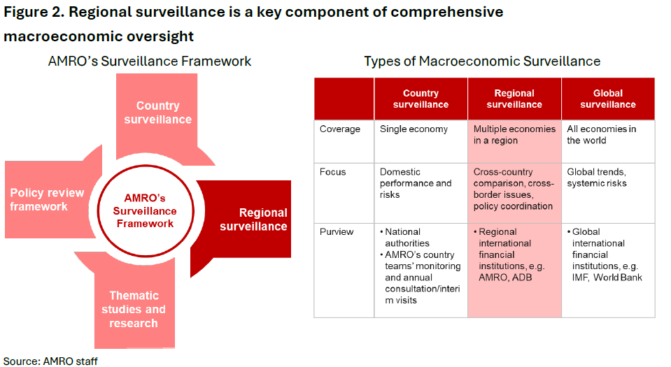 Figure 2. Regional surveillance is a key component of comprehensive macroeconomic oversight 